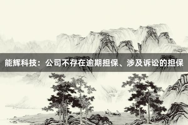 能辉科技：公司不存在逾期担保、涉及诉讼的担保