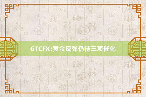 GTCFX:黄金反弹仍待三项催化