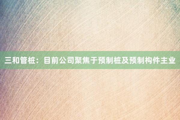 三和管桩：目前公司聚焦于预制桩及预制构件主业