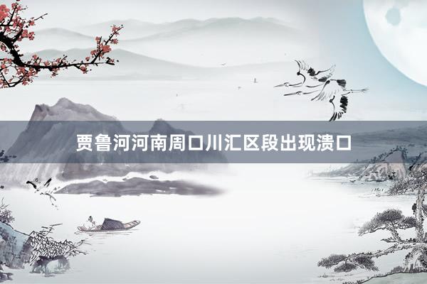 贾鲁河河南周口川汇区段出现溃口