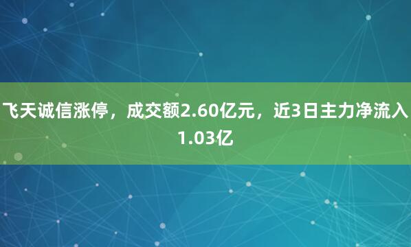 飞天诚信涨停，成交额2.60亿元，近3日主力净流入1.03亿