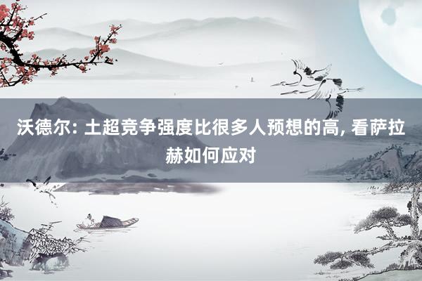 沃德尔: 土超竞争强度比很多人预想的高, 看萨拉赫如何应对