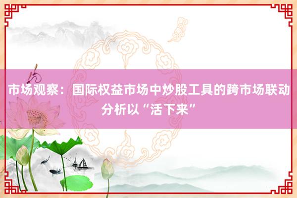 市场观察：国际权益市场中炒股工具的跨市场联动分析以“活下来”