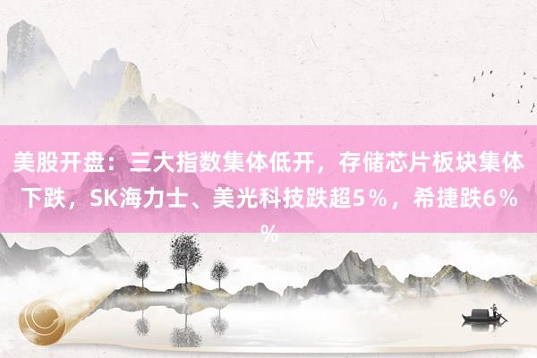 美股开盘：三大指数集体低开，存储芯片板块集体下跌，SK海力士、美光科技跌超5％，希捷跌6％