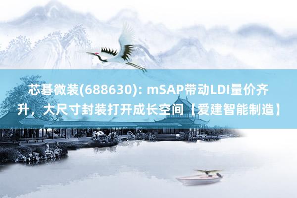 芯碁微装(688630): mSAP带动LDI量价齐升，大尺寸封装打开成长空间【爱建智能制造】