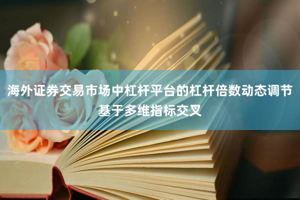 海外证券交易市场中杠杆平台的杠杆倍数动态调节基于多维指标交叉