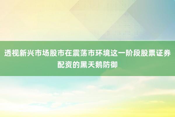 透视新兴市场股市在震荡市环境这一阶段股票证券配资的黑天鹅防御