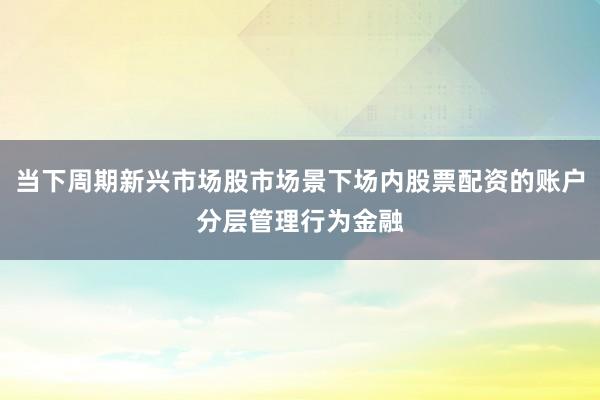当下周期新兴市场股市场景下场内股票配资的账户分层管理行为金融
