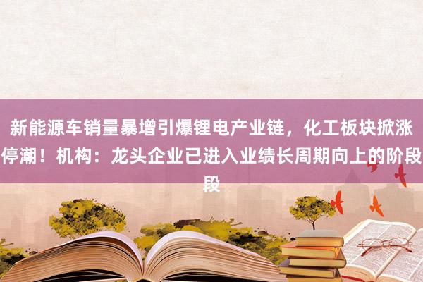 新能源车销量暴增引爆锂电产业链，化工板块掀涨停潮！机构：龙头企业已进入业绩长周期向上的阶段