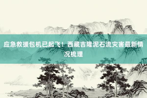 应急救援包机已起飞！西藏吉隆泥石流灾害最新情况梳理