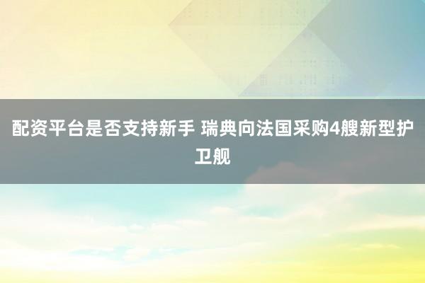 配资平台是否支持新手 瑞典向法国采购4艘新型护卫舰