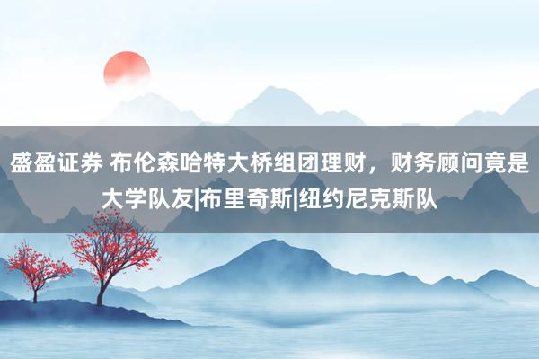 盛盈证券 布伦森哈特大桥组团理财，财务顾问竟是大学队友|布里奇斯|纽约尼克斯队