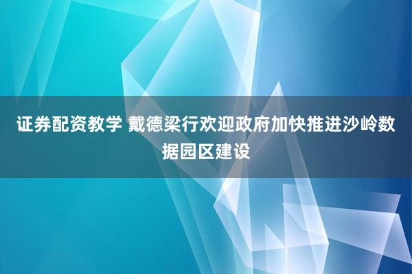 证券配资教学 戴德梁行欢迎政府加快推进沙岭数据园区建设