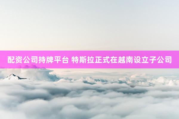 配资公司持牌平台 特斯拉正式在越南设立子公司