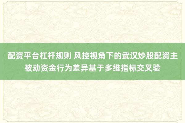 配资平台杠杆规则 风控视角下的武汉炒股配资主被动资金行为差异基于多维指标交叉验