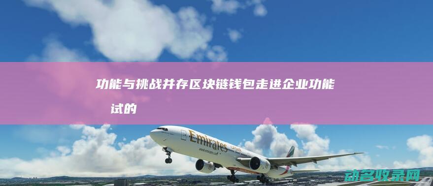 功能与挑战并存 区块链钱包走进企业 (功能测试的挑战)